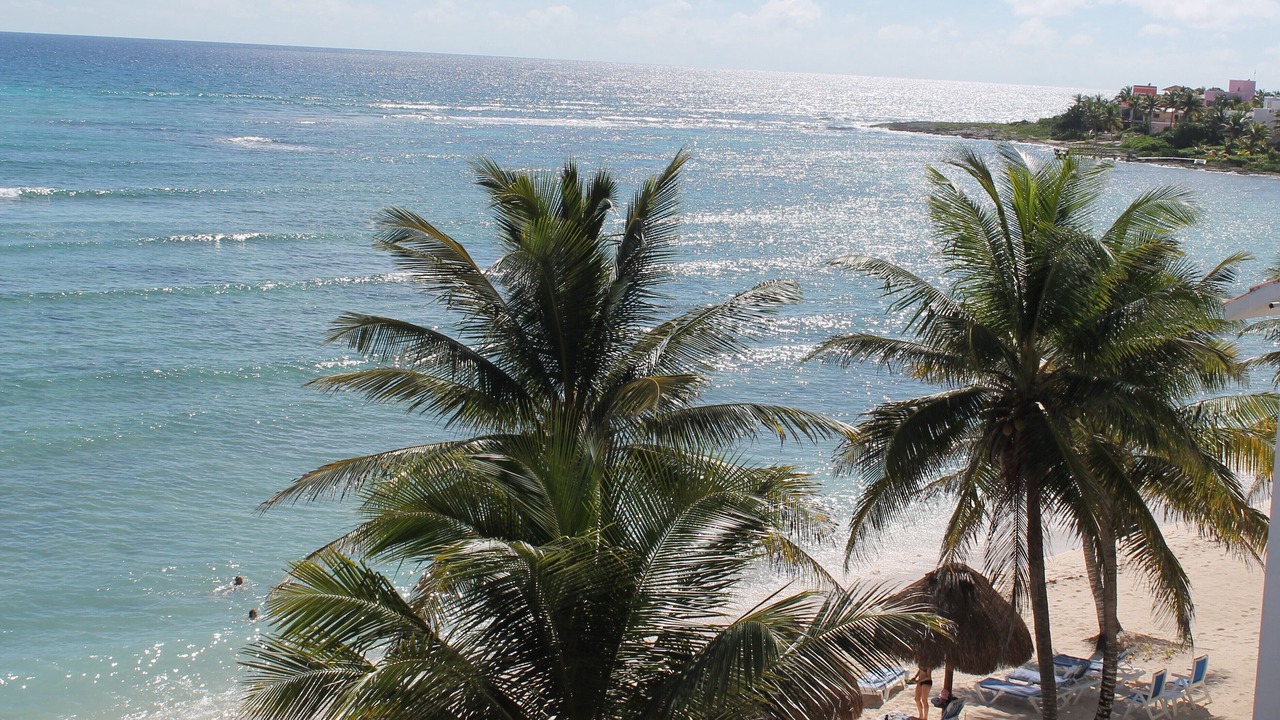 Photo of Others in Akumal