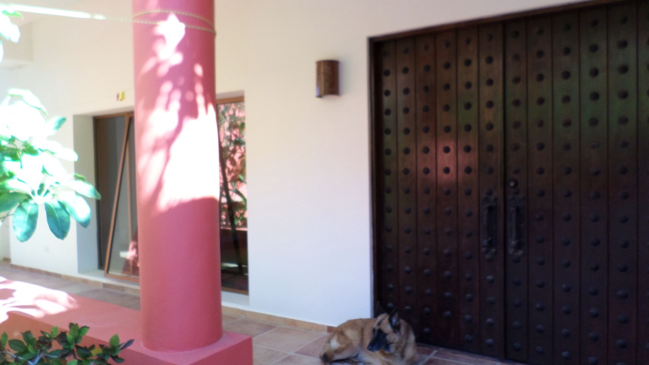 Photo of Outdoor in Pescadero