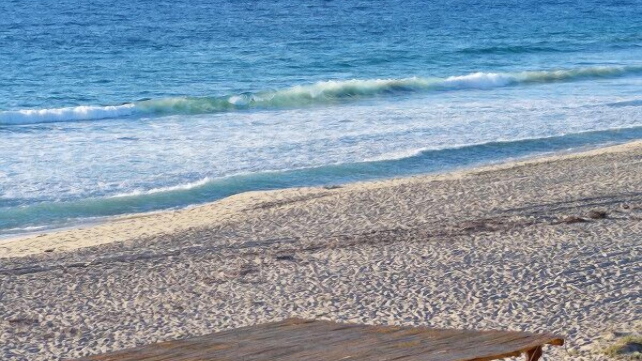 Photo of Others in Cerritos