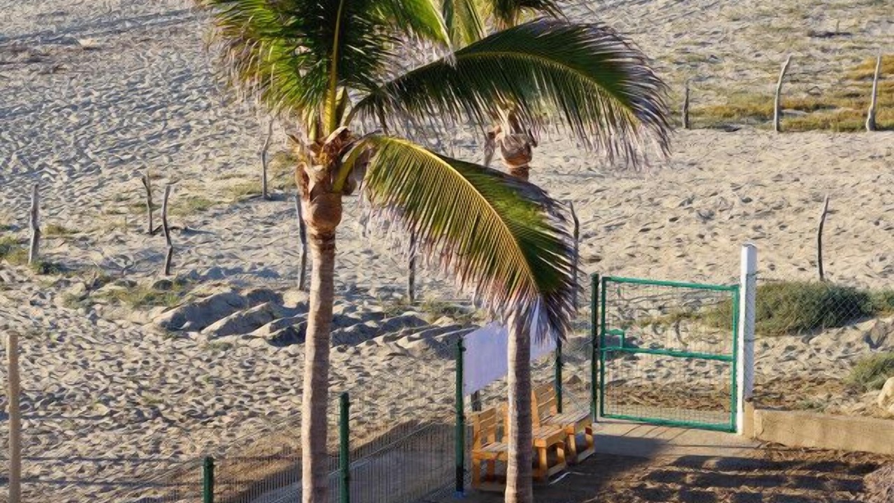 Photo of Others in Cerritos