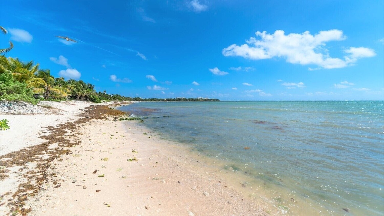 Photo of Others in Soliman Bay