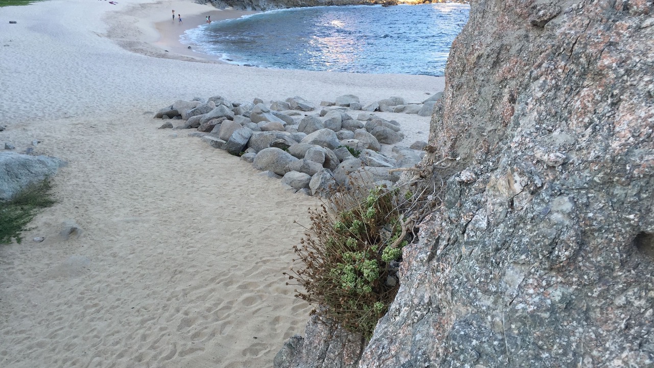 Photo of Others in Cabo Bello