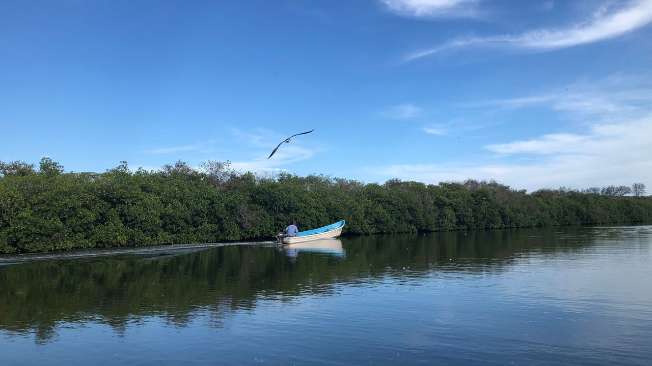 Photo of Outdoor in Tampico Alto