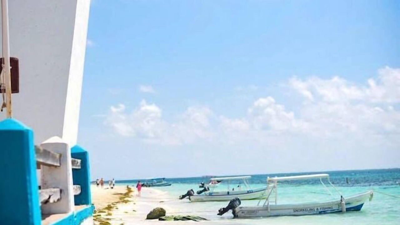 Photo of Others in Puerto Morelos