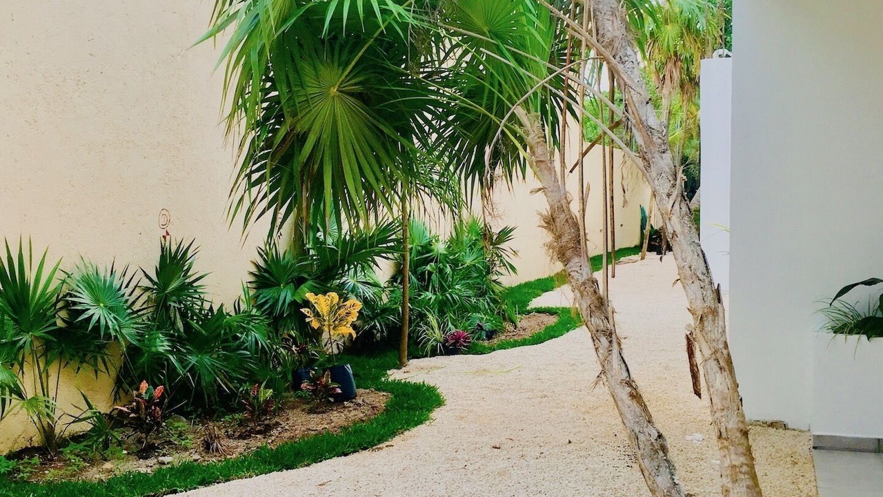 Photo of Outdoor in Puerto Morelos