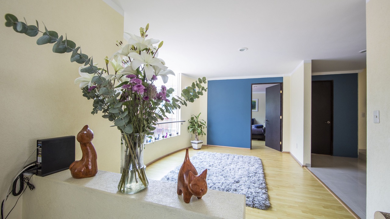 Photo of Others in Del Carmen