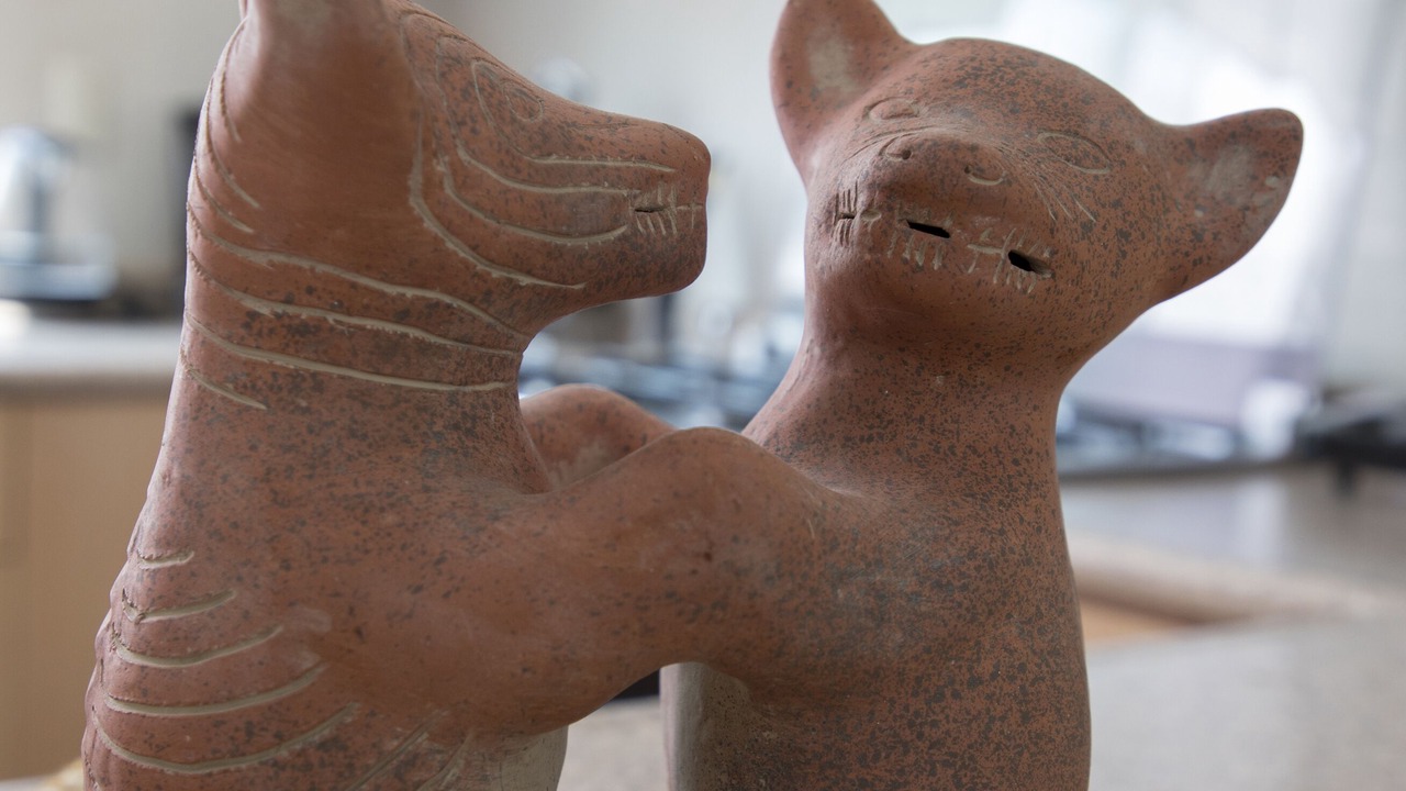 Photo of Others in Del Carmen