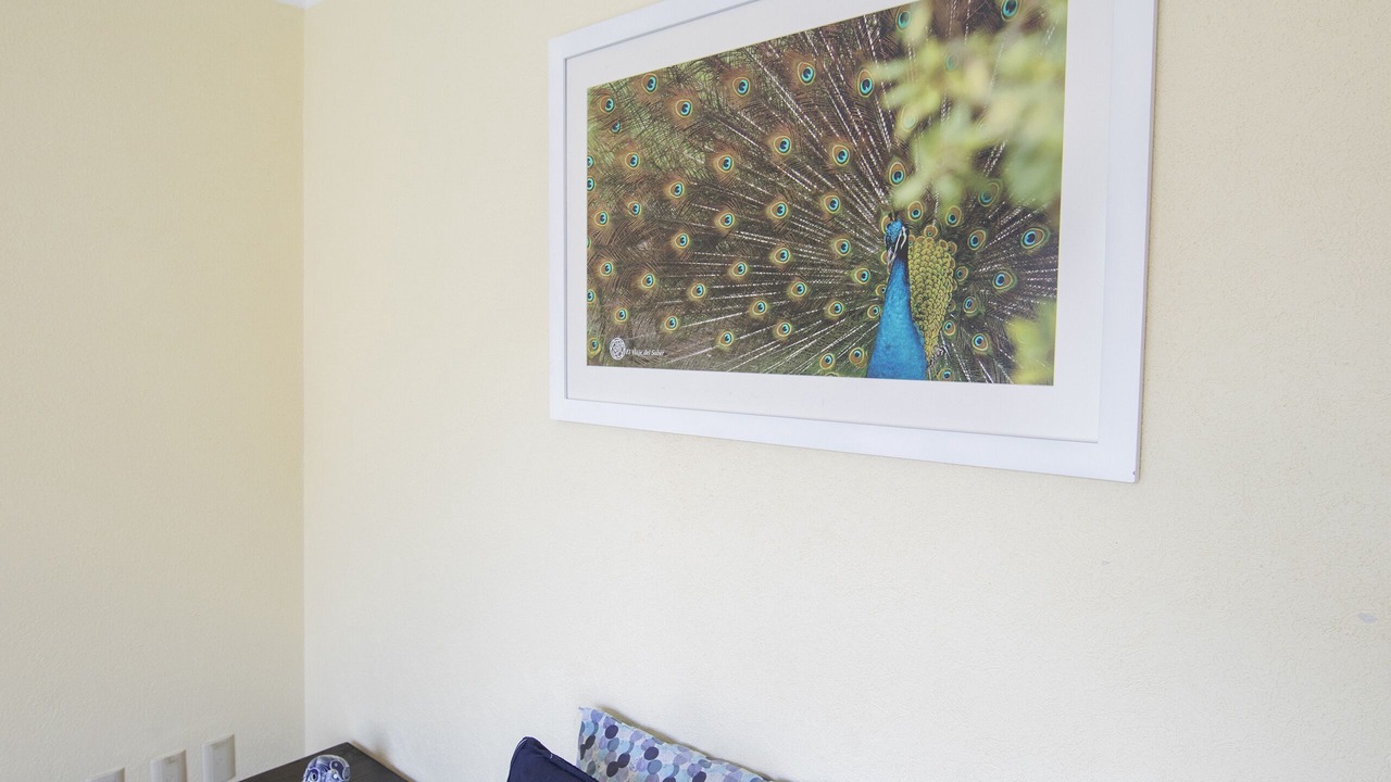 Photo of Bedroom in Del Carmen