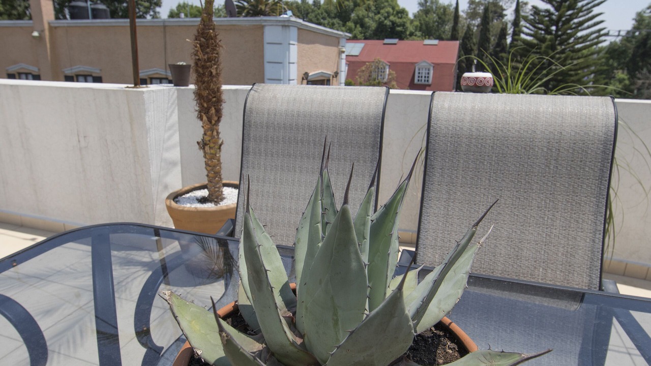 Photo of Outdoor in Del Carmen