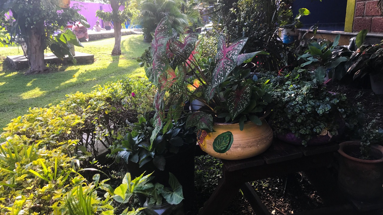 Photo of Outdoor in Jiutepec