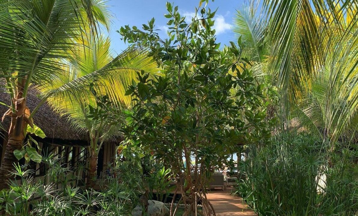Photo of Patio Balcony in Puerto Escondido