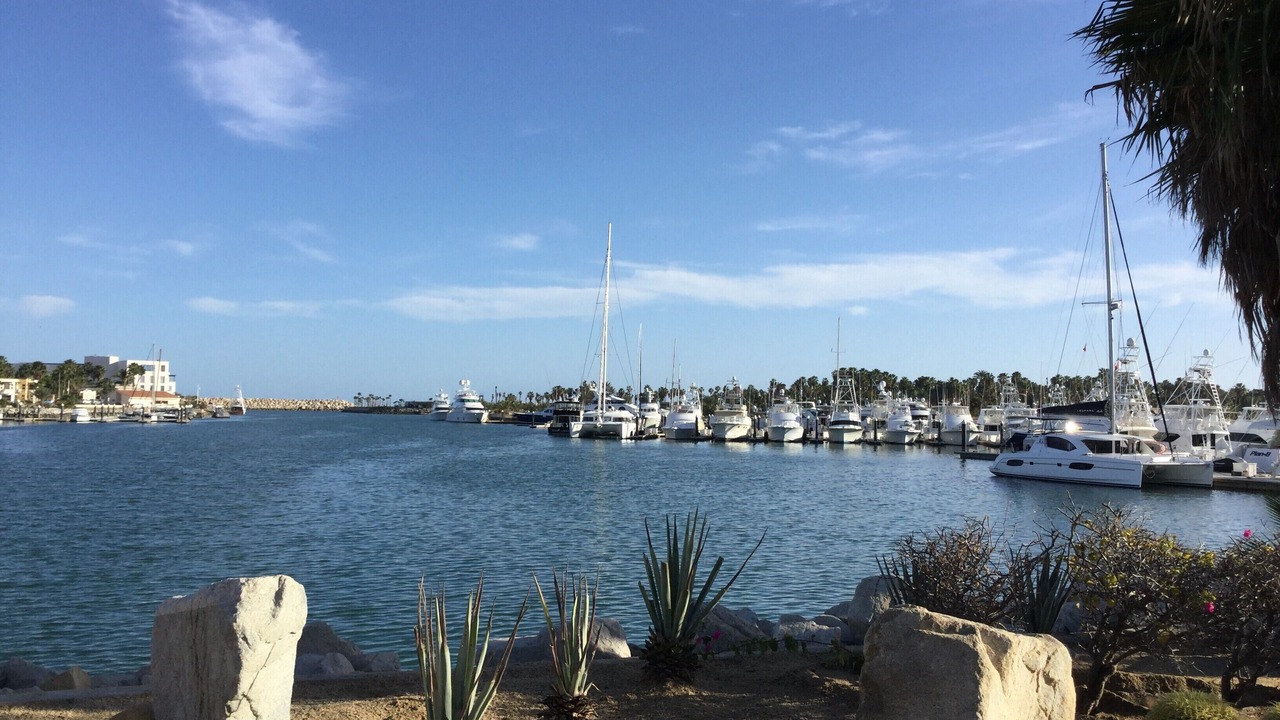 Photo of Others in San Jose del Cabo