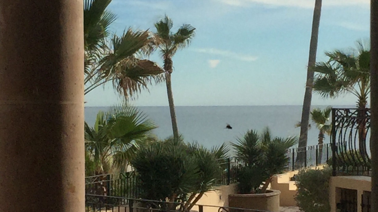 Photo of Outdoor in Puerto Penasco