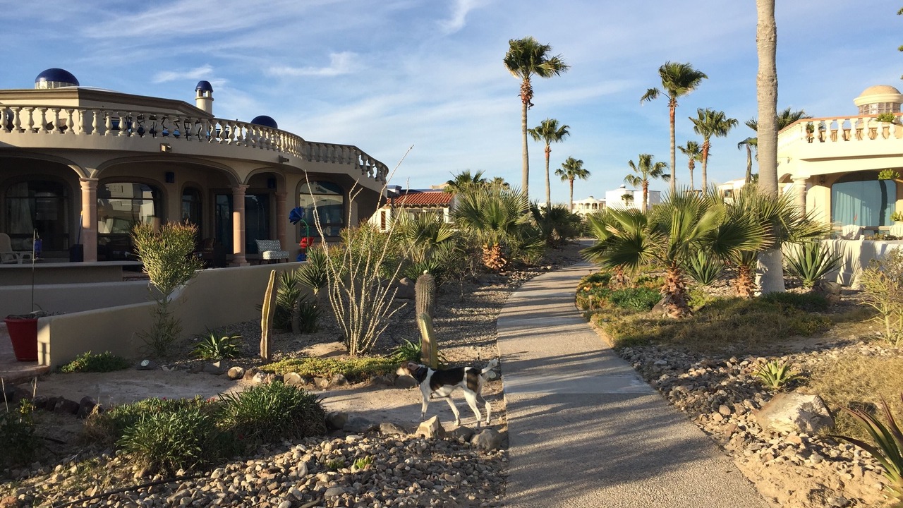 Photo of Others in Puerto Penasco
