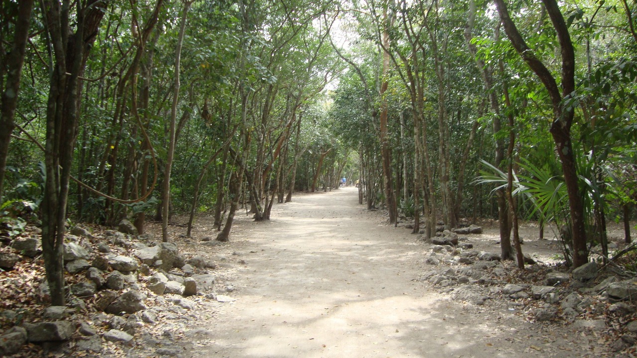 Photo of Outdoor in Majahual