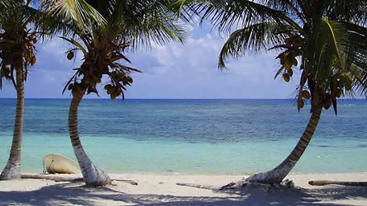 Photo of Others in Majahual