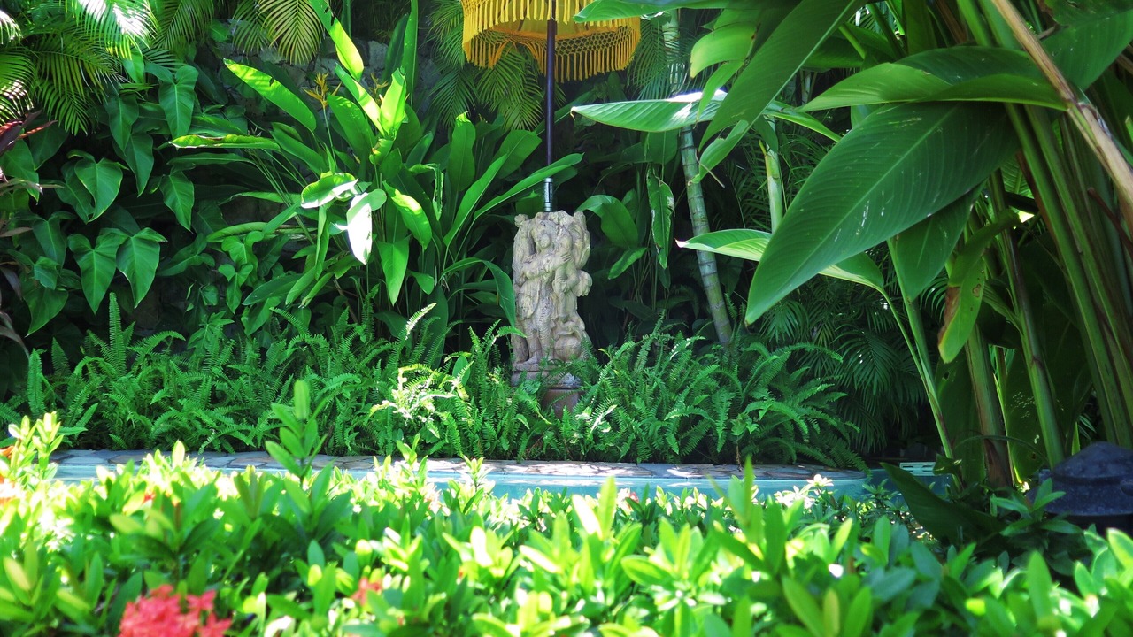 Photo of Outdoor in Ixtapa