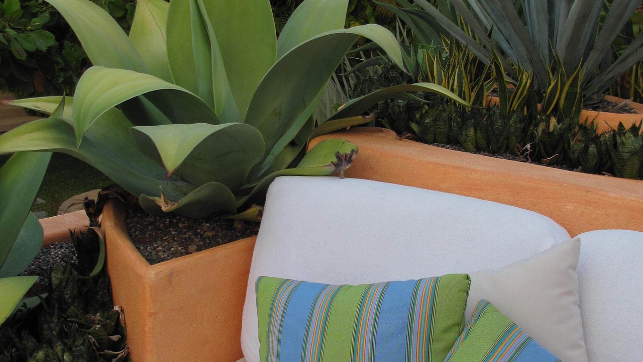Photo of Outdoor in Ixtapa