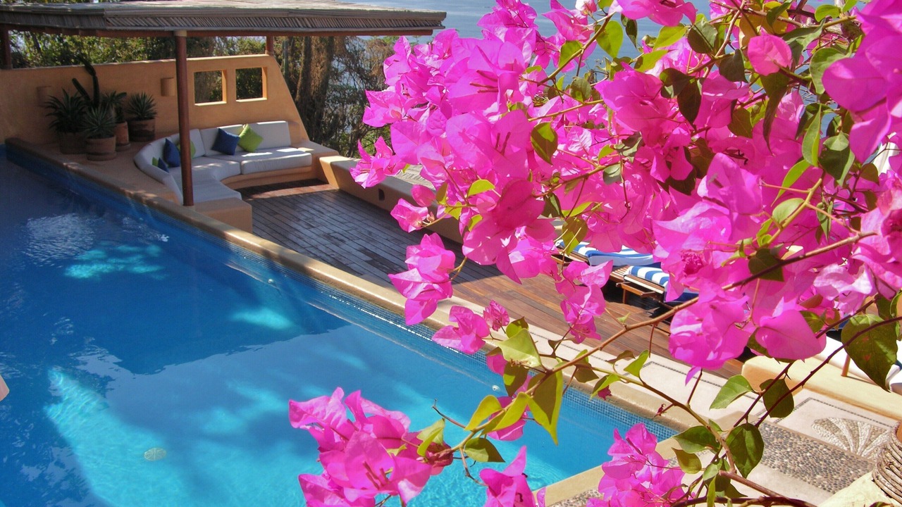 Photo of Outdoor in Ixtapa