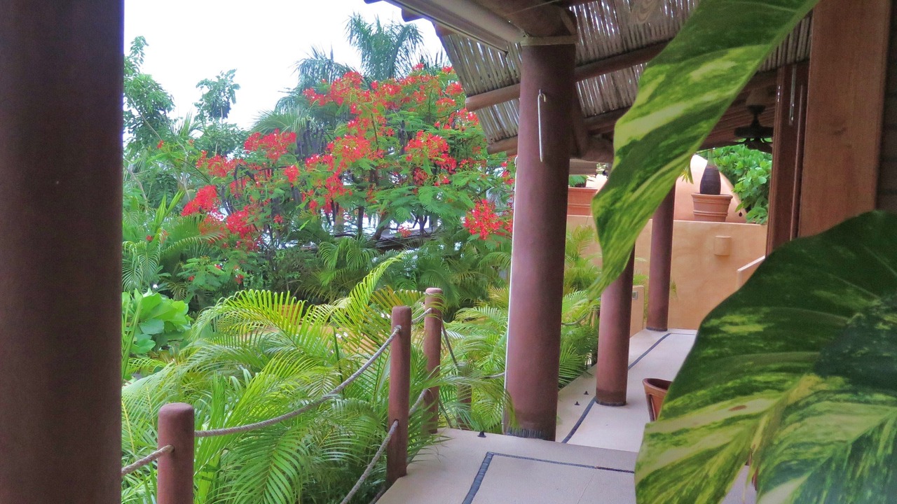 Photo of Outdoor in Ixtapa