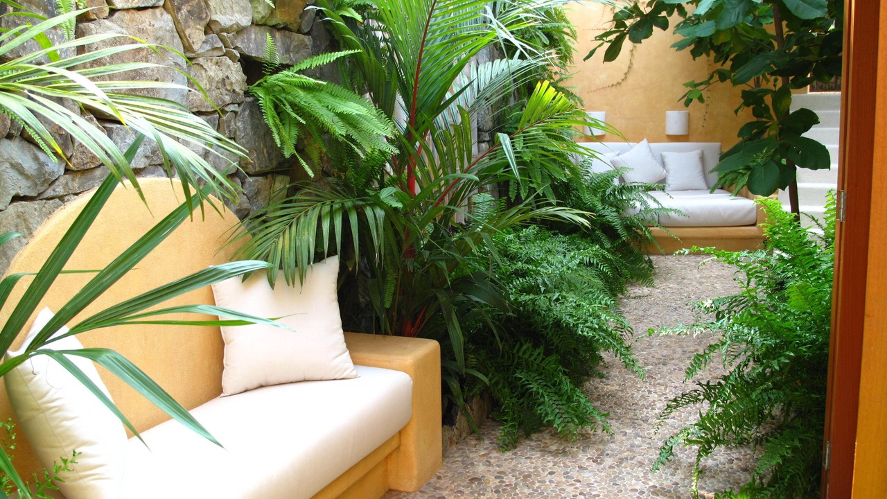 Photo of Bathroom in Ixtapa