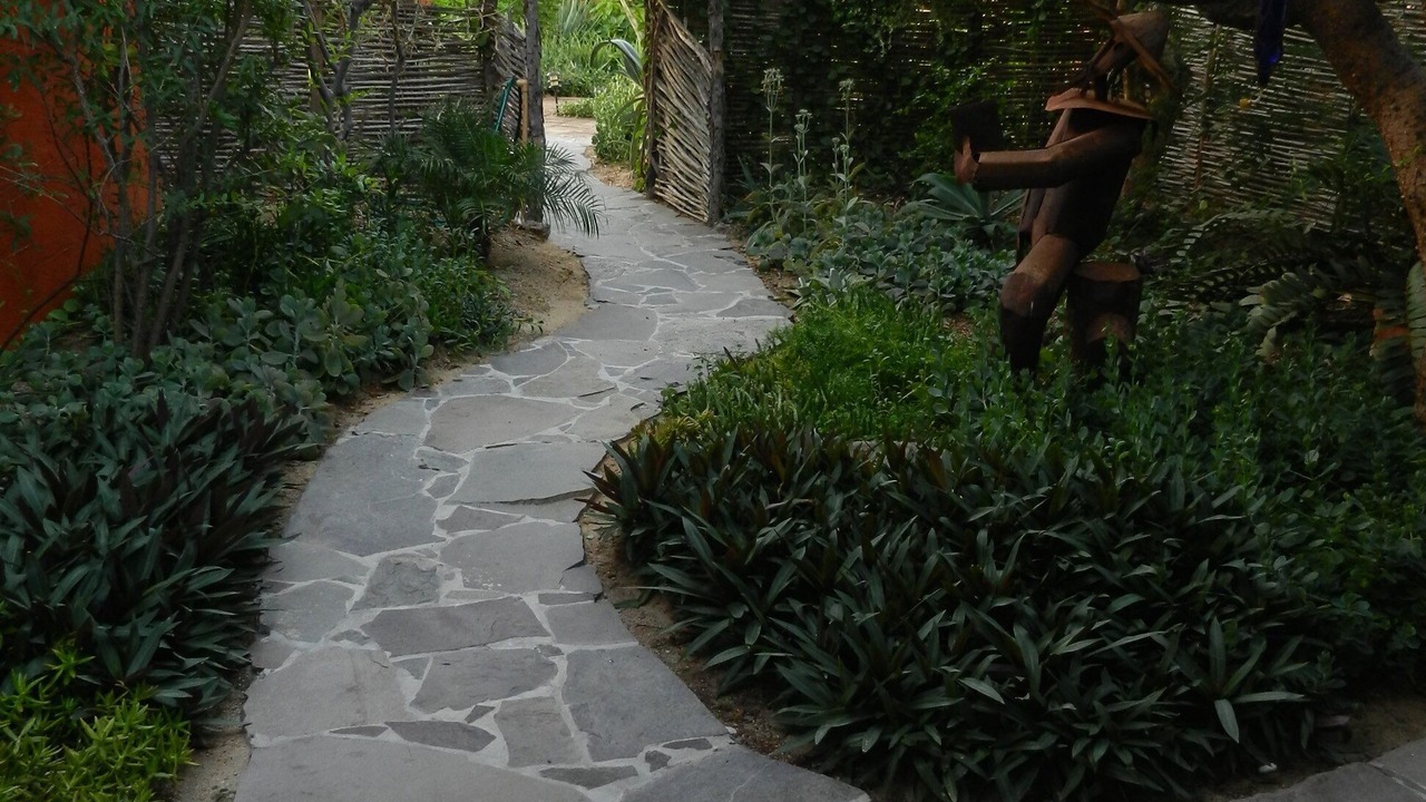 Photo of Outdoor in Cabo Pulmo