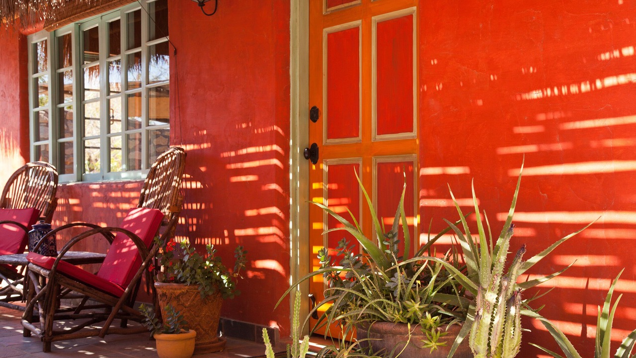 Photo of Others in Cabo Pulmo