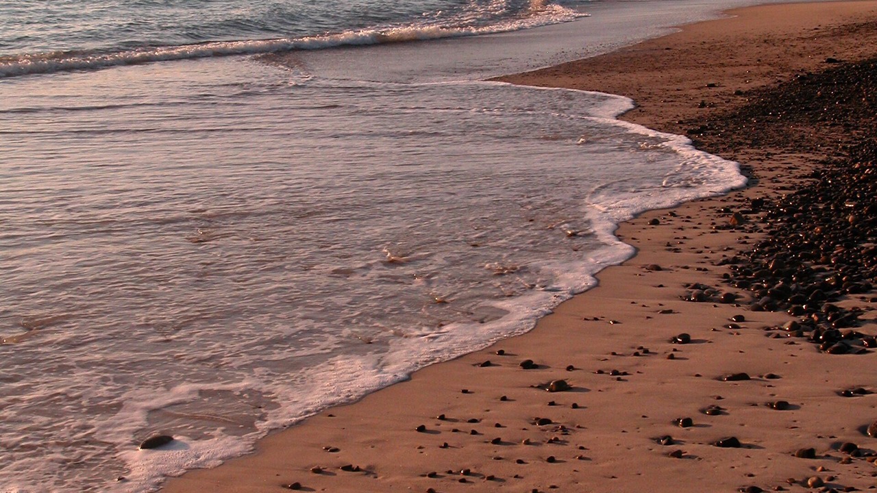 Photo of Others in Cabo Pulmo