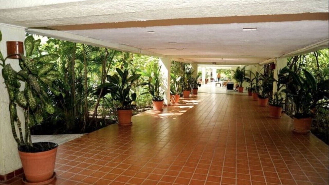 Photo of Outdoor in Ixtapa