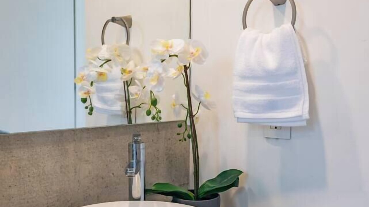 Photo of Bathroom in La Condesa