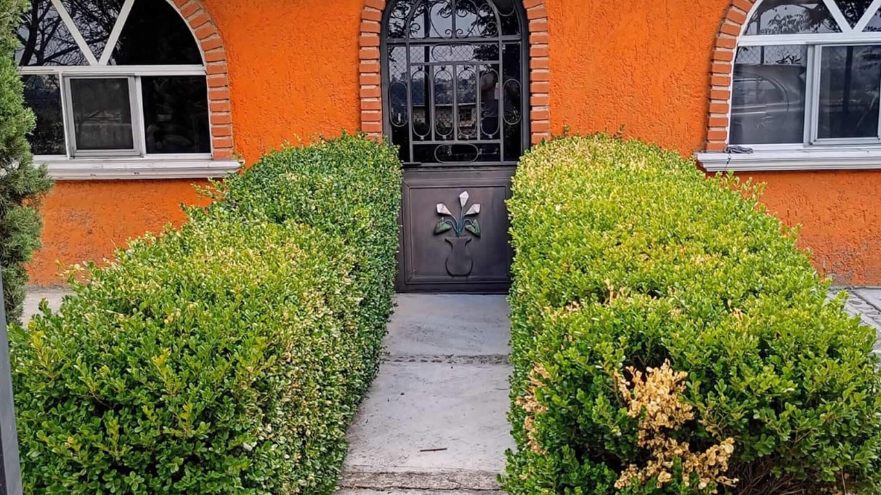 Photo of Outdoor in Nicolas Romero