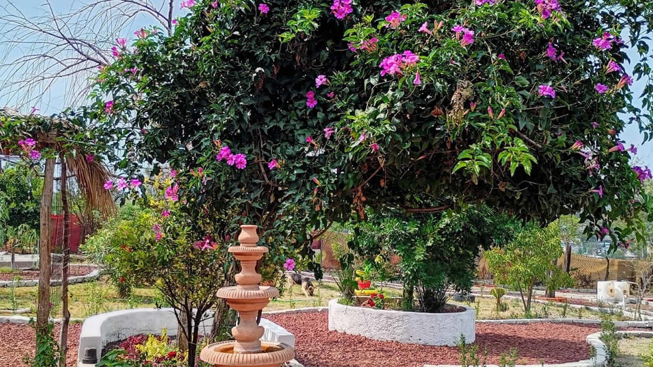 Photo of Outdoor in Nicolas Romero
