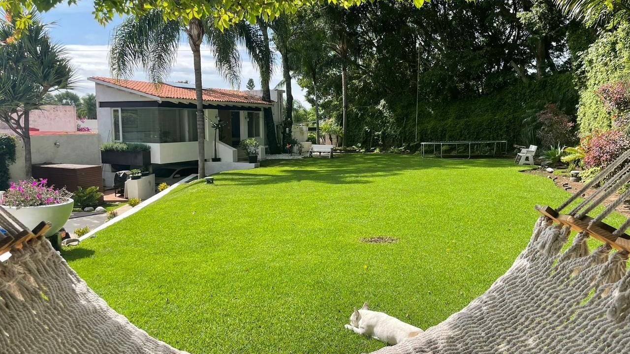 Photo of Outdoor in Los Limoneros