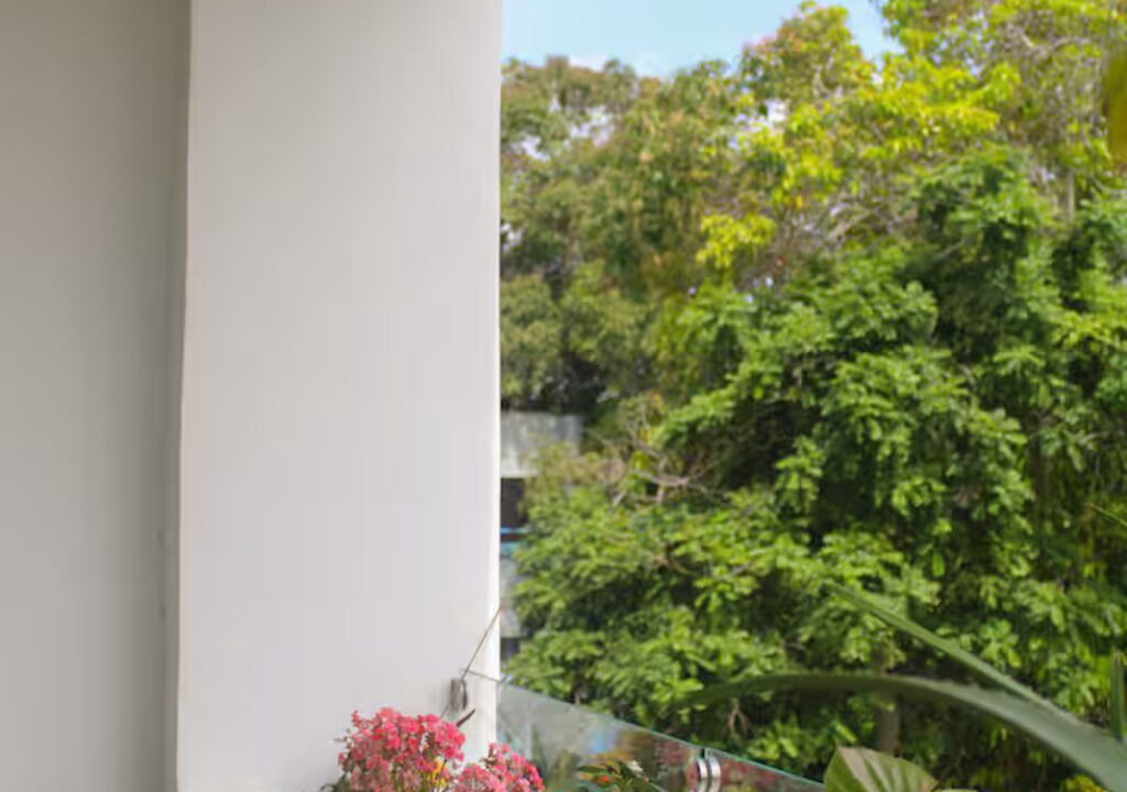 Photo of Outdoor in Tampico