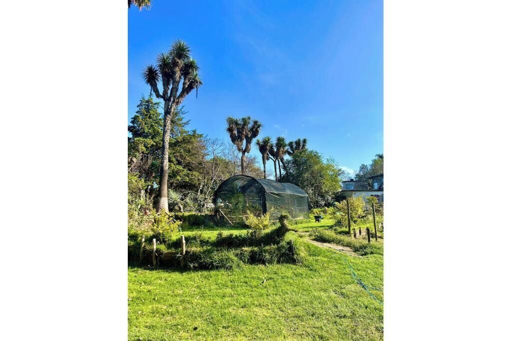 Photo of Others in Huasca De Ocampo