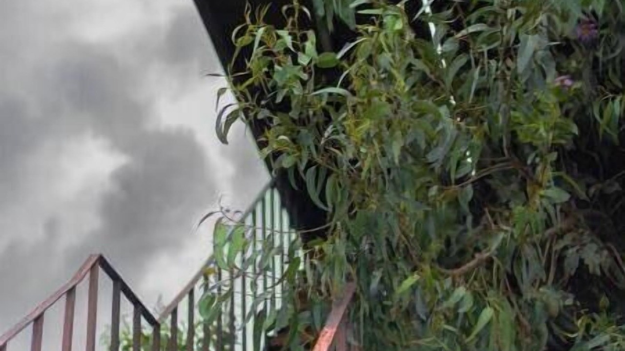Photo of Outdoor in Omitlan de Juarez