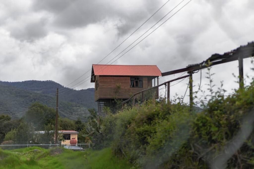 Photo of Others in Omitlan de Juarez