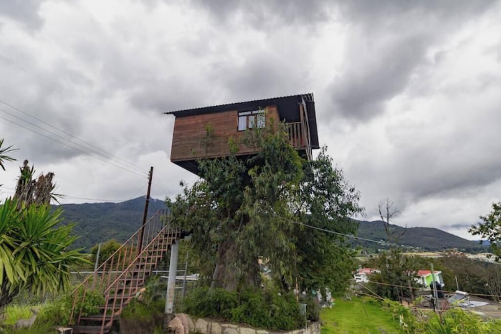Photo of Others in Omitlan de Juarez