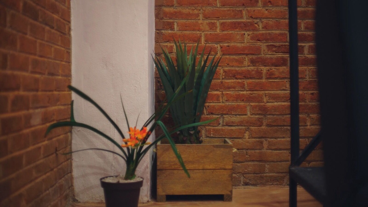 Photo of Others in Orizaba