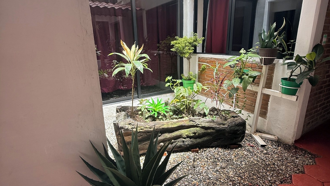 Photo of Outdoor in Orizaba