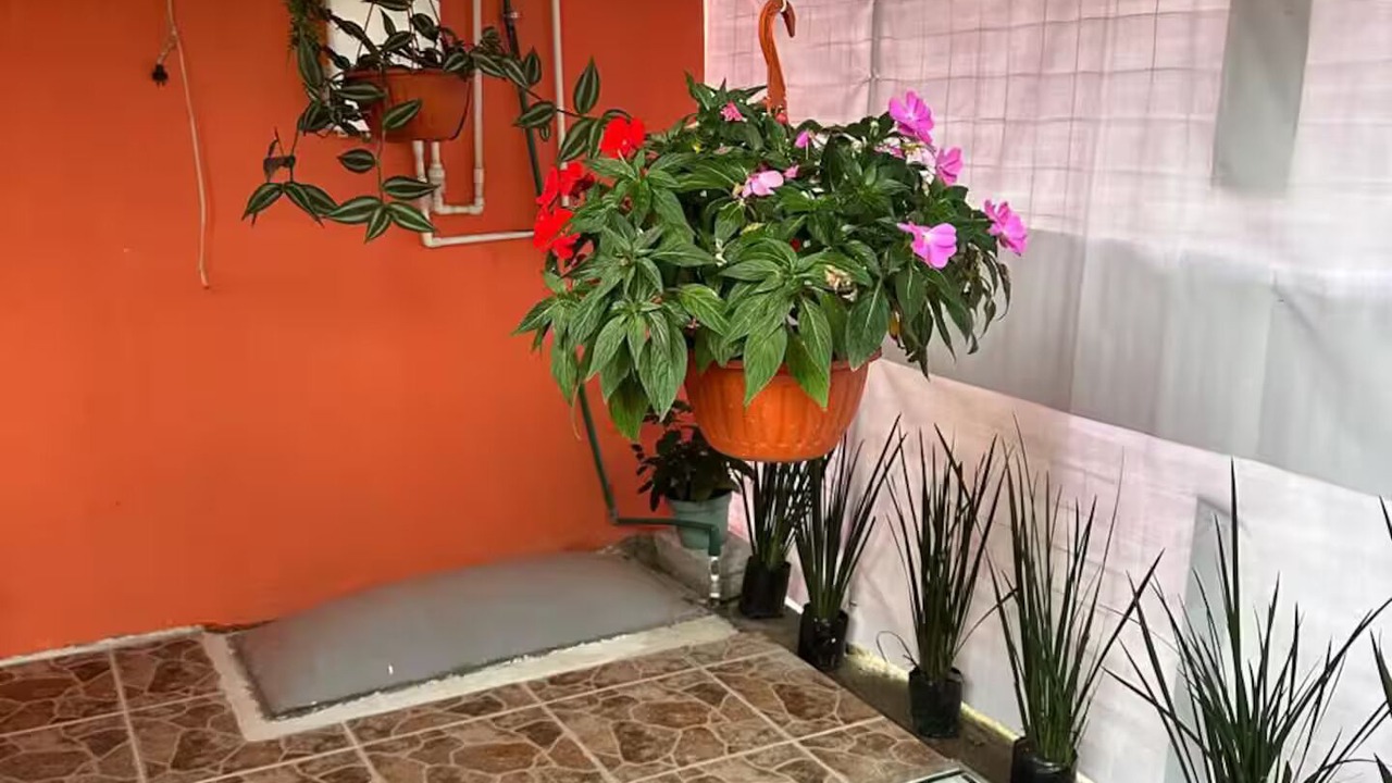 Photo of Others in Orizaba