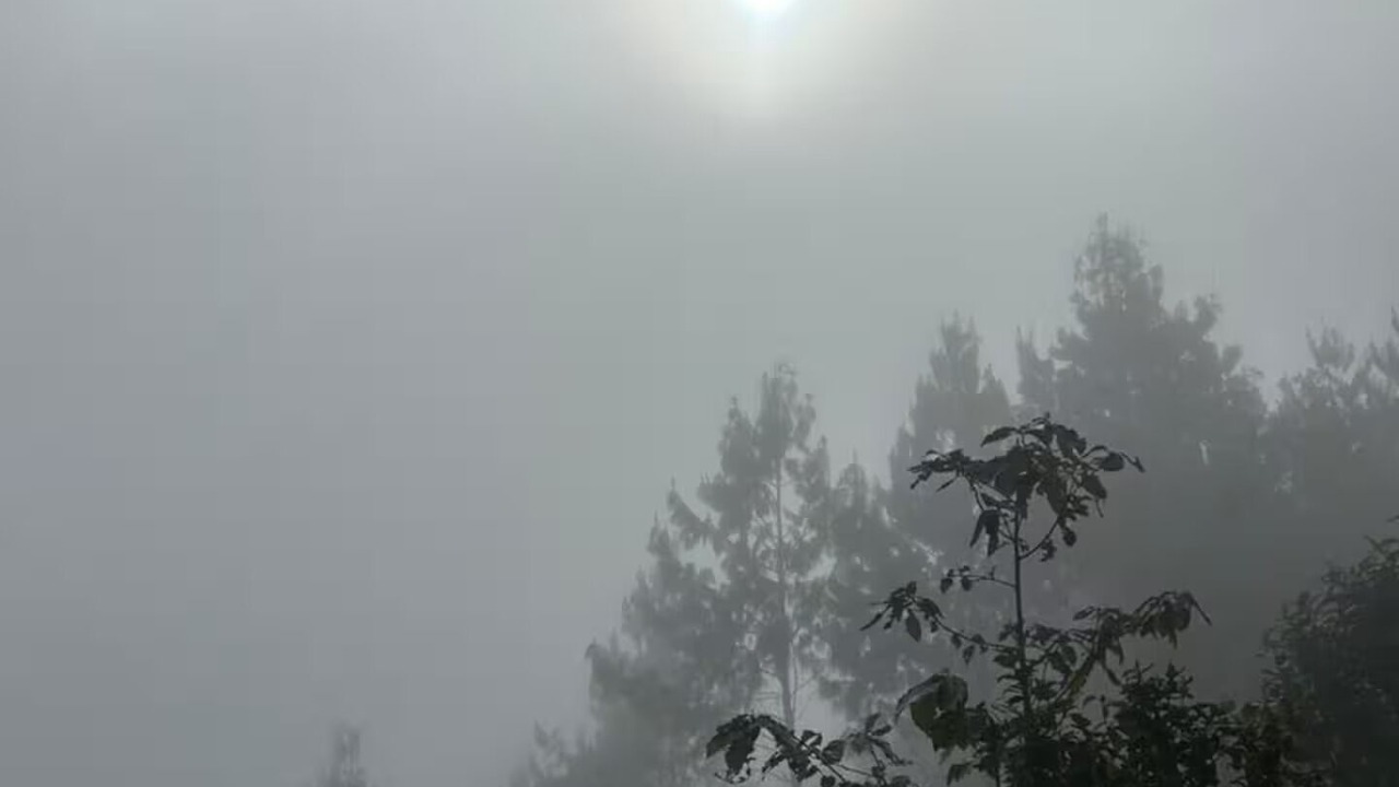 Photo of Others in Nogales