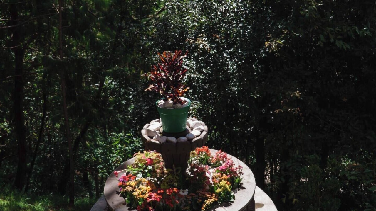 Photo of Outdoor in Nogales