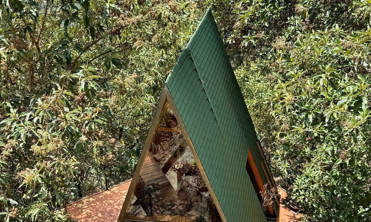 Photo of Outdoor in San Jose del Pacifico