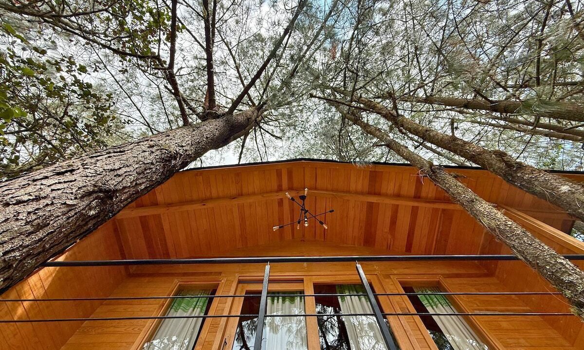 Photo of Outdoor in San Jose del Pacifico