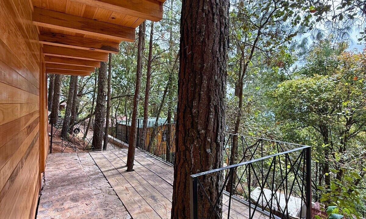 Photo of Outdoor in San Jose del Pacifico