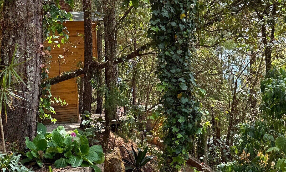 Photo of Outdoor in San Jose del Pacifico