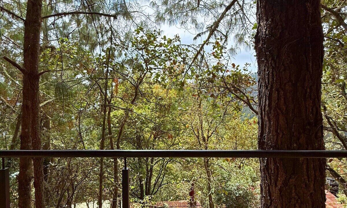 Photo of Outdoor in San Jose del Pacifico