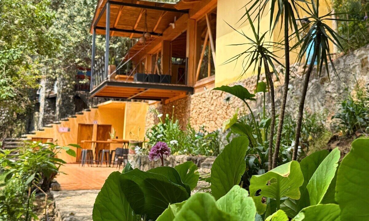 Photo of Outdoor in San Jose del Pacifico