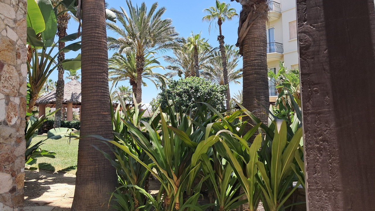 Photo of Others in Cabo Bello